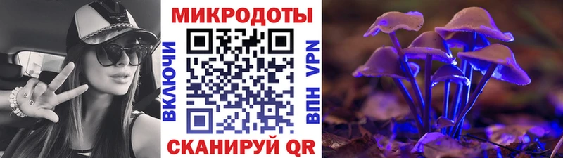 darknet официальный сайт Вичуга Галлюциногенные грибы ЛСД купить наркоту
